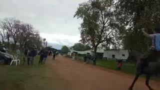 El Chasque para Caballos Criollos - Agremiación Criadores Caballos Criollos - Cerro largo 28/09/2025
