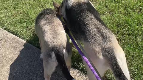 Older sister talk