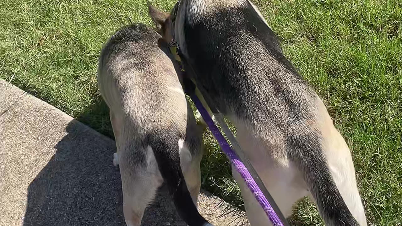 Older sister talk
