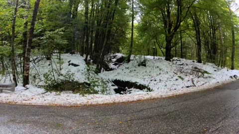 Run with Me 22.24 kilometers from Vitosha mountain to My Airbnb im fia Bulgaria