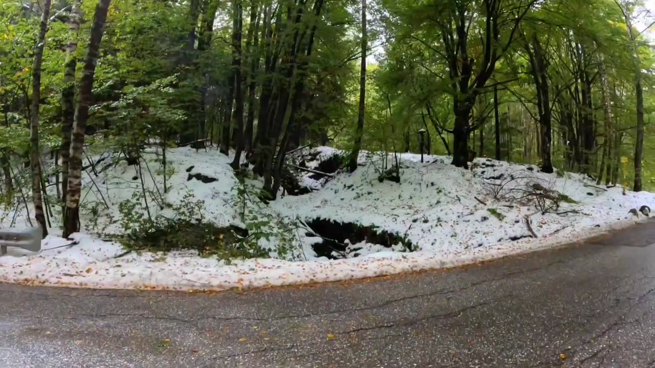 Run with Me 22.24 kilometers from Vitosha mountain to My Airbnb im fia Bulgaria