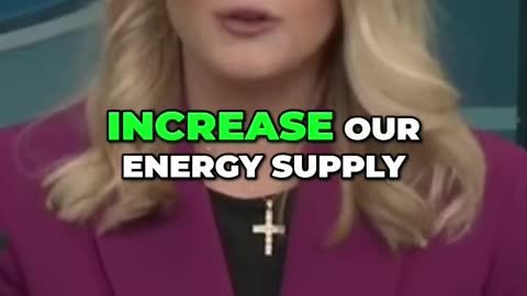 Karoline Leavitt On Trump's Strategy On Boosting American Households