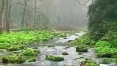 Peace with nature
