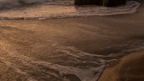 Sunset Reef Finale #reef #sunset #beautiful Oct 2025 San Diego California