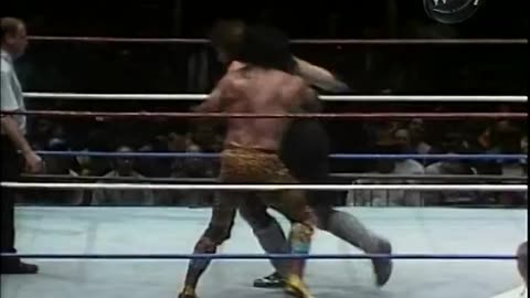 (1991.01.21) The Undertaker vs Jimmy Snuka - MSG - WWF