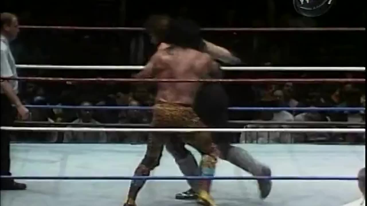 (1991.01.21) The Undertaker vs Jimmy Snuka - MSG - WWF