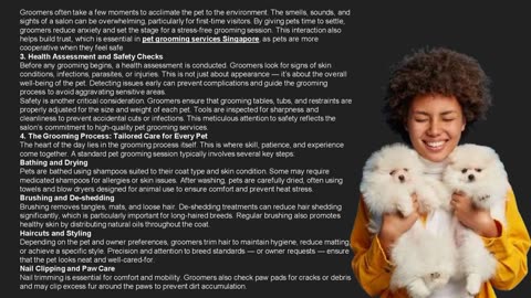 Behind the Scenes: A Day in the Life of a Pet Grooming Salon- The Pets Workshop