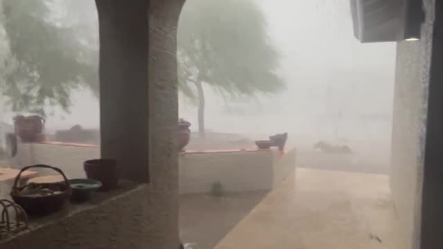 Phoenix Monsoon Storm Knocks Down Tree