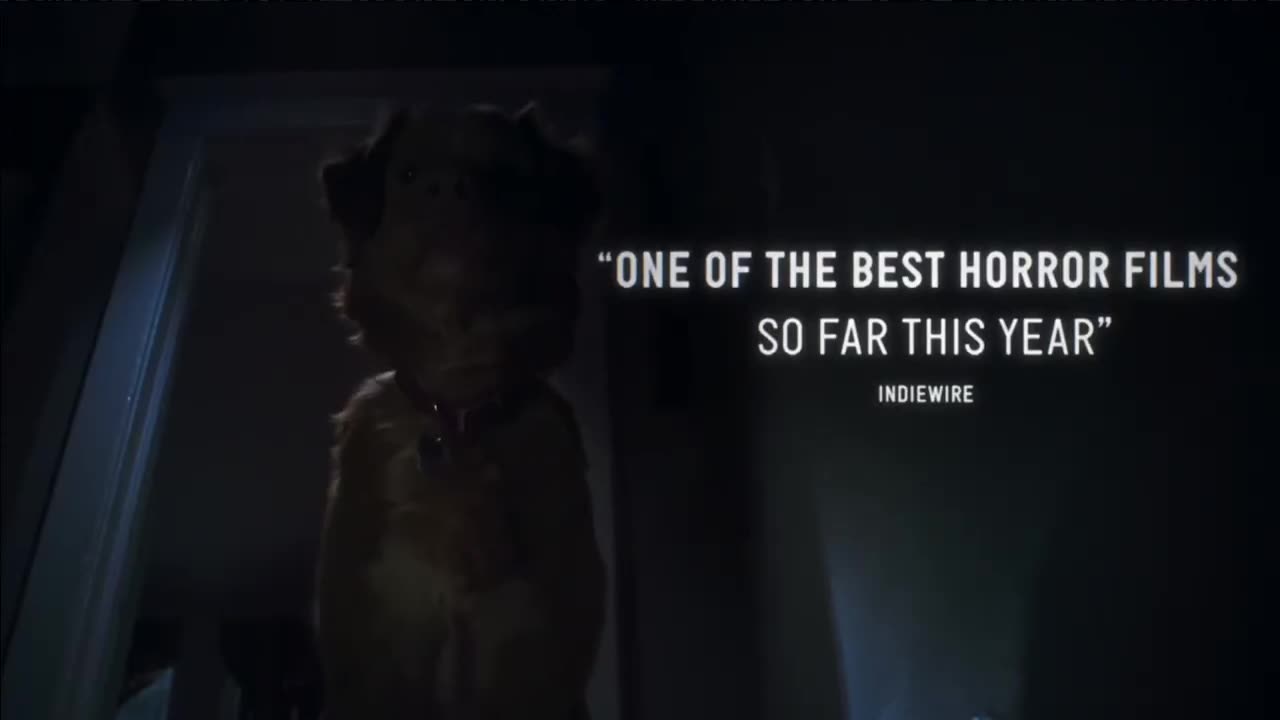 Good Boy (2025) - U.S. TV Spot ('spooky')