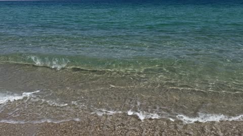 Análisis de Guerra Biológica, la Inmunidad y el Aislamiento