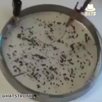 Educational Purposes Only..!