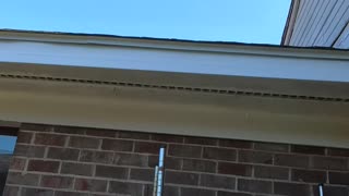 We Showed Up for Inspections… and THIS Stopped Everything 😳🏠 Should We Continue?