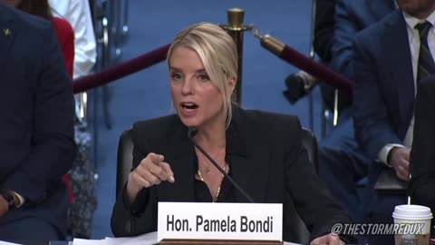 Lol. Pam Bondi is mowing down these Democrat frauds 😂
