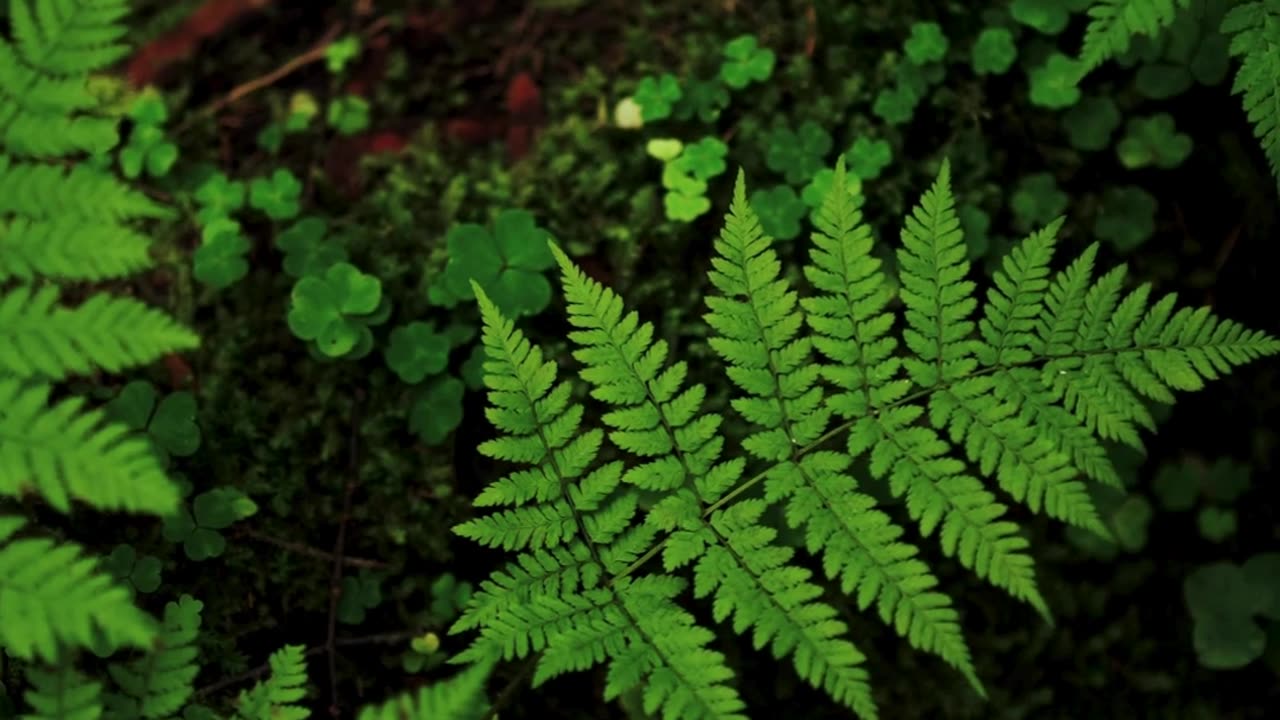 Faithful in the Little