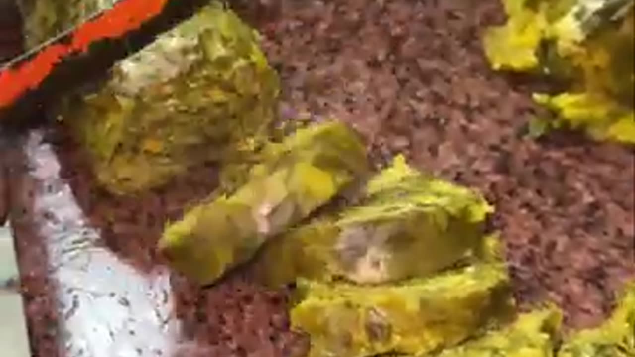 How Jalaram Farsan Makes Crispy Patra (Aluvadi) — Gujarati Delight!