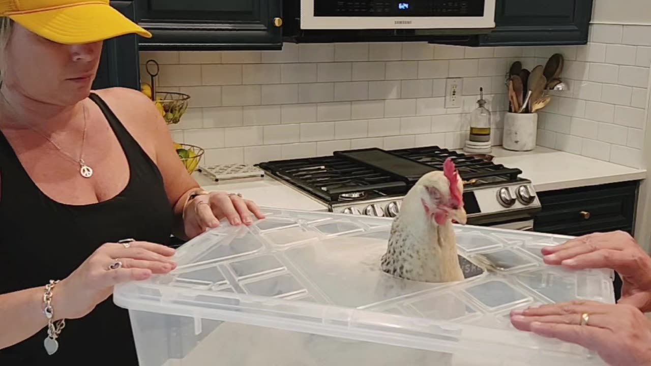 Chicken in Epsom Salt Bath