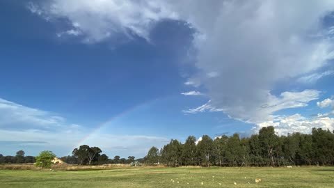 UFO over Jaya Sanctuary, Australia?