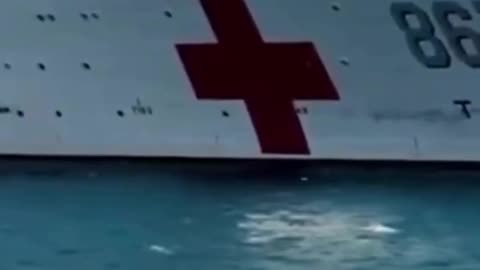 Dr Francisco Cardoso fez uma denuncia ao Cremerj sobre o navio Chinês. Após a denuncia, foi feita uma visita in loco pelo Dr Rafael, que foi tratado com hostilidade pelos Chineses.