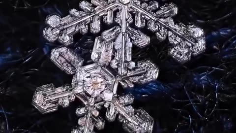 The Hidden Beauty Inside a Snowflake ❄️✨