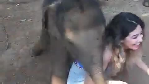 The Baby Elephant play with girl 🙀