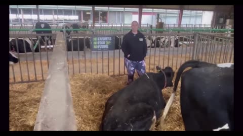 Do you think people at these dairies are drinking the milk from these POISONED cows