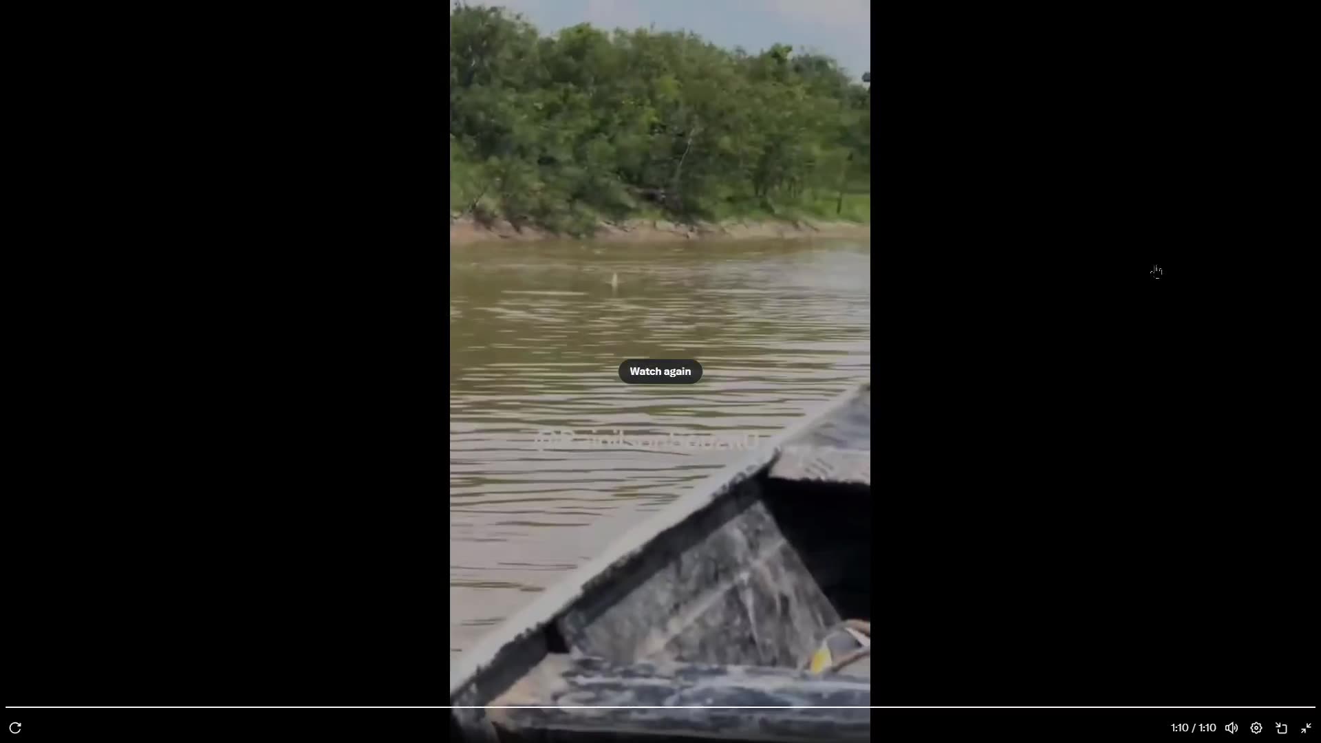 They can easily jump on the boat. Crocodile-infested waters
