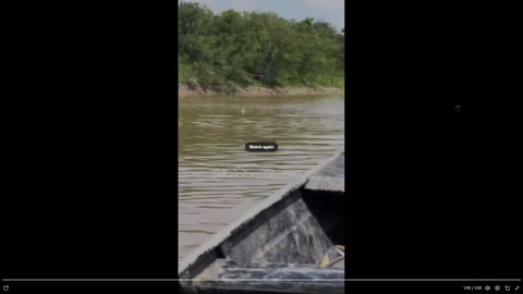 They can easily jump on the boat. Crocodile-infested waters
