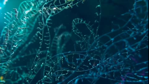 Germ Theory vs Terrain Theory | Hidden Health Debate