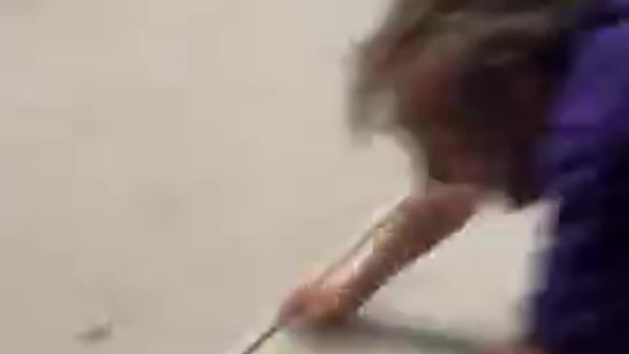 White man yells “White power” in the Bronx and gets attacked by negroes.mp4