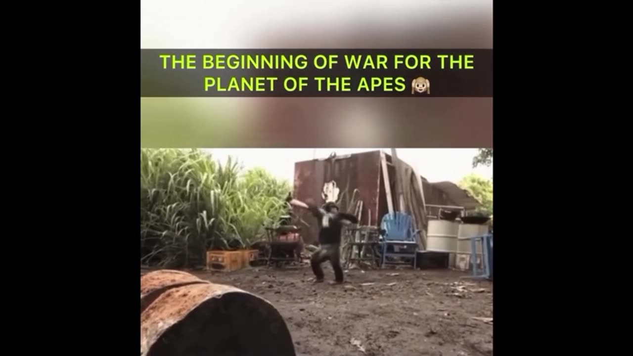 The Good News Network 1 🐸 WeekendWarrior17