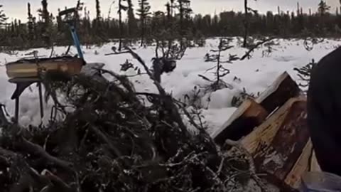 Outdoor Boys Tom Calls Dad for Fire Starting Help - Wholesome Family Adventure!