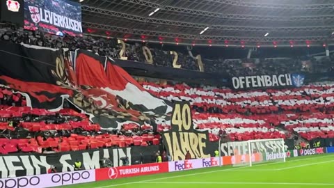 Bayer Leverkusen vs FC Porto (UEFA Champions League)