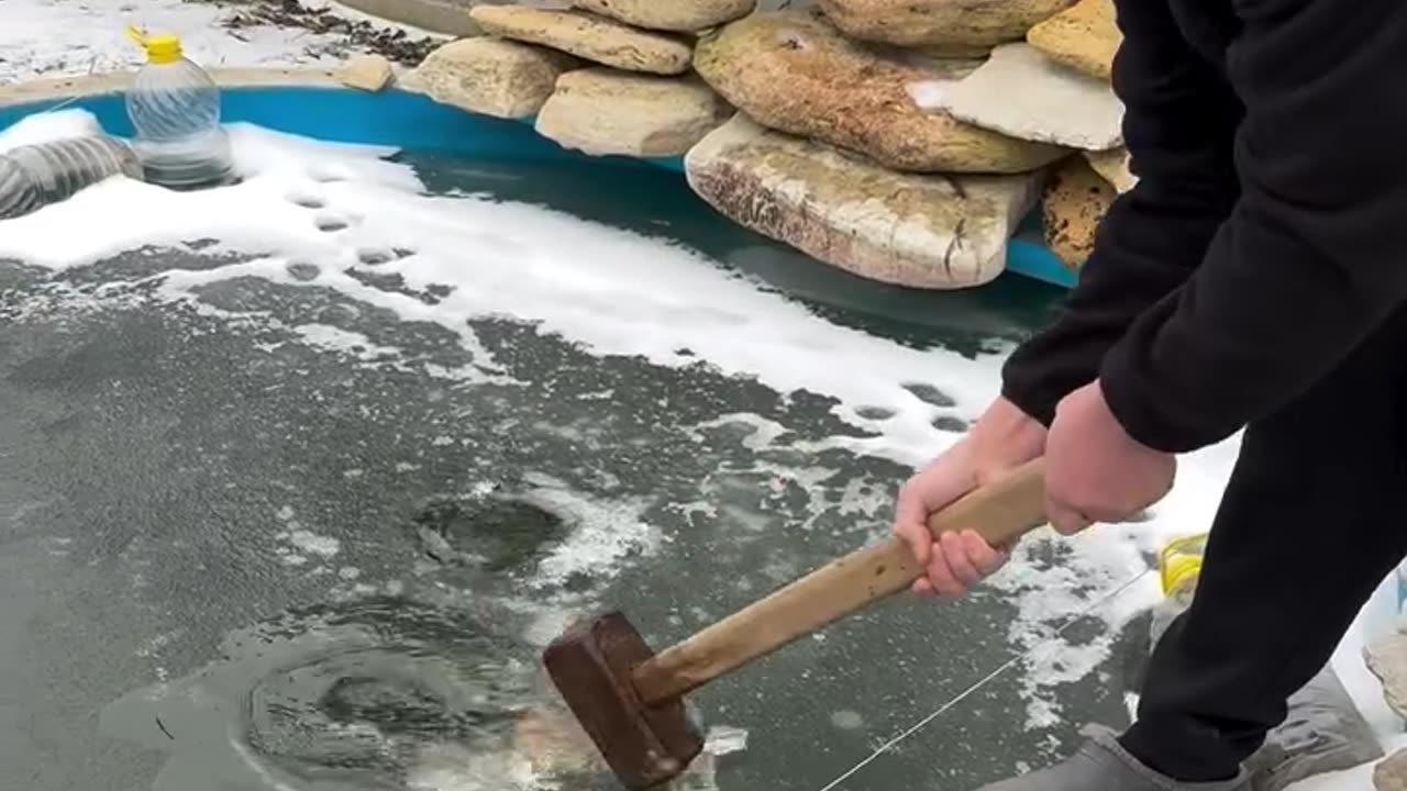 Fish Rescue Goes Wrong