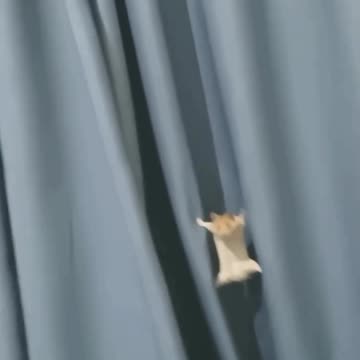 Scene from mission impossible 😂