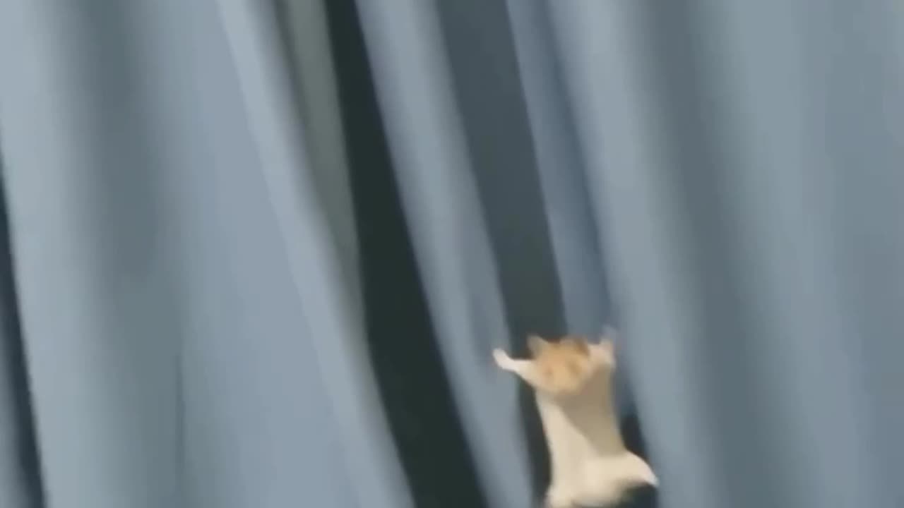 Scene from mission impossible 😂