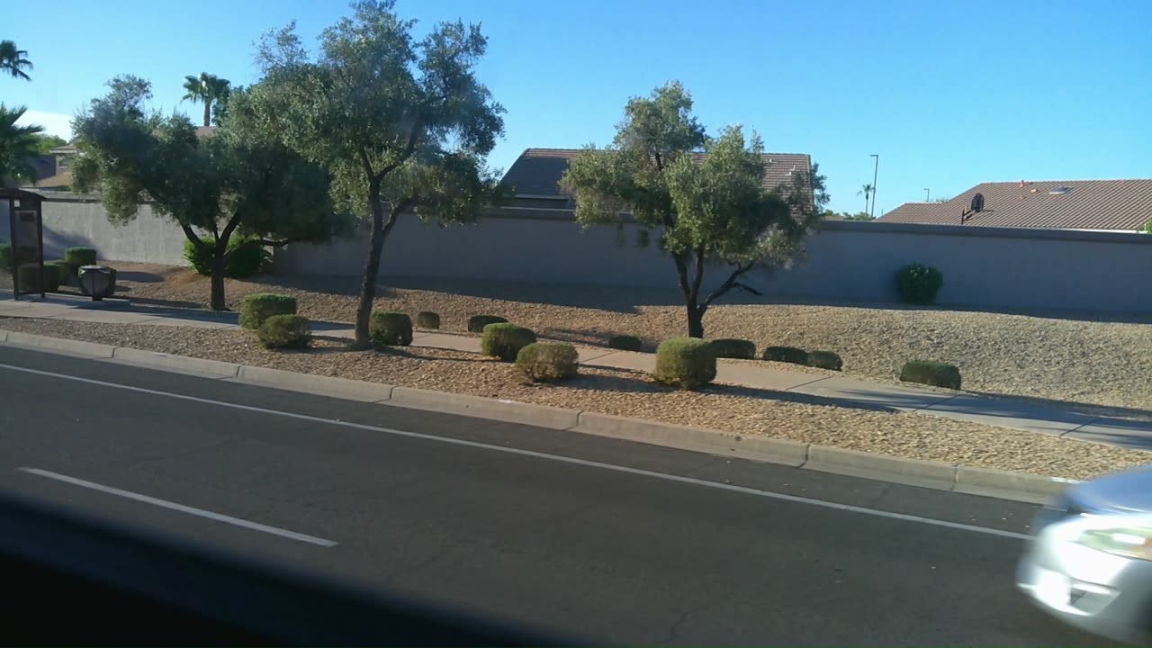 (732) 2016 Thomas Freightliner SAF-T-LINER C2 #S403 WCL 6.7L Cummins (B6.7) HS AM 7/28/2025 #2