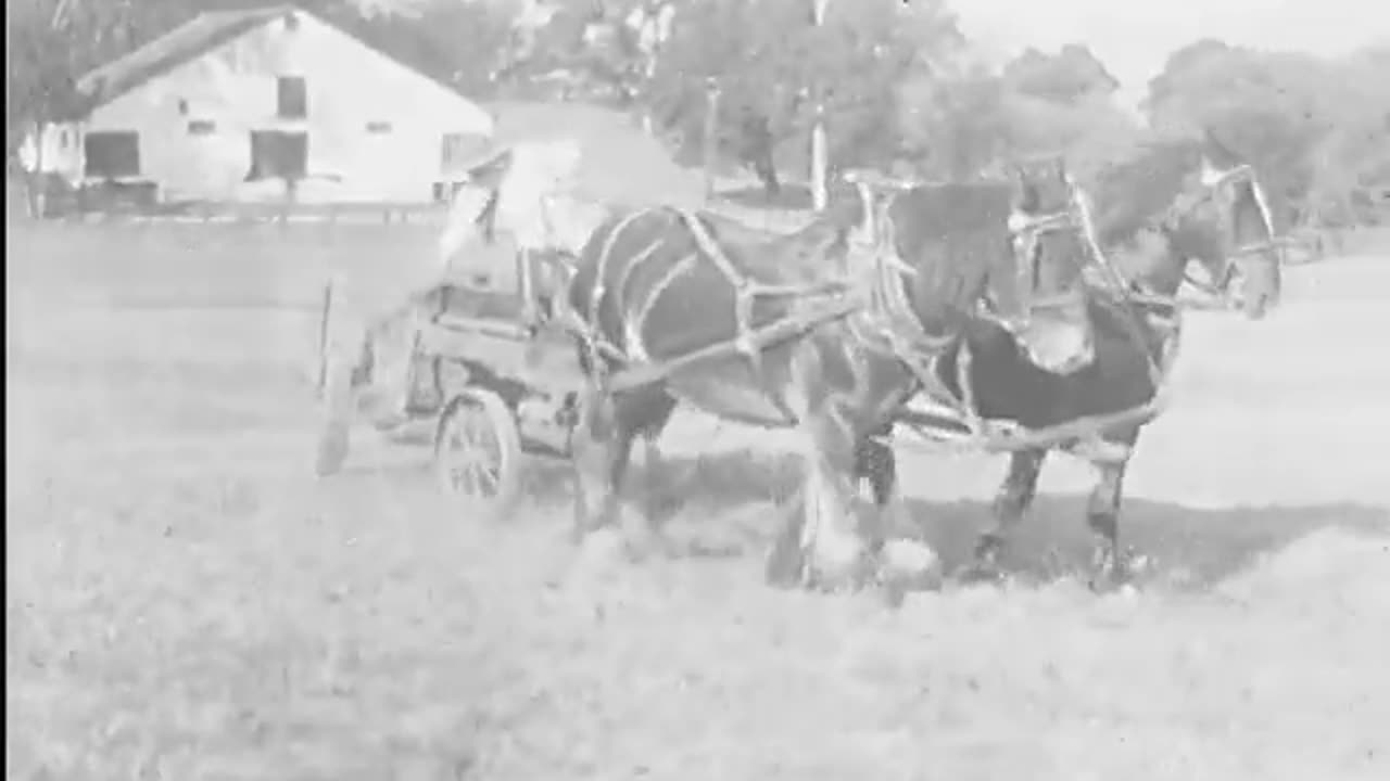 Jack London’s Last Days: Glen Ellen 1916