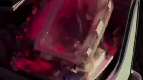 🤯✨ Witness the Incredible Live Heart Transportation! | FeedMyCuriosity