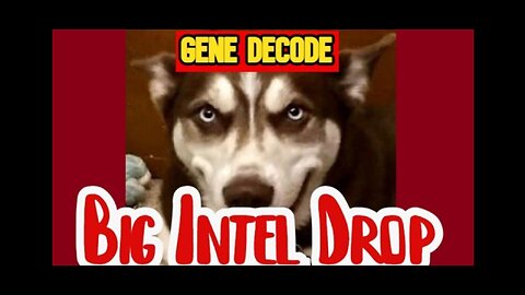 BIG INTEL : GENE DECODE DEC/16/2025