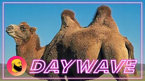 Episode 1658: Two Humps