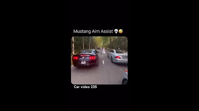 Mustang Have Aim assist