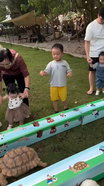 turtle vs rabbit match