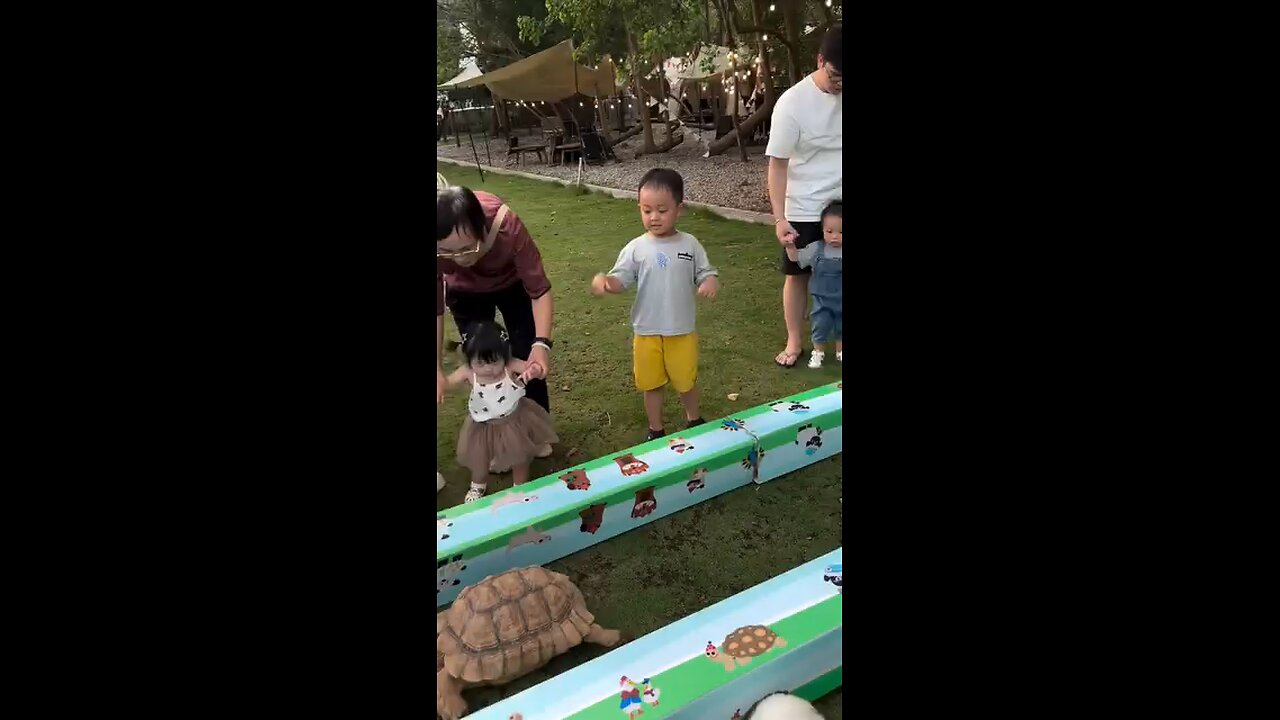 turtle vs rabbit match