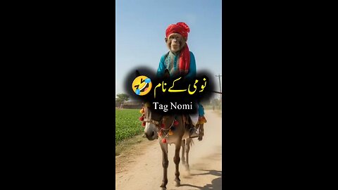 Monkey Have Some Fun