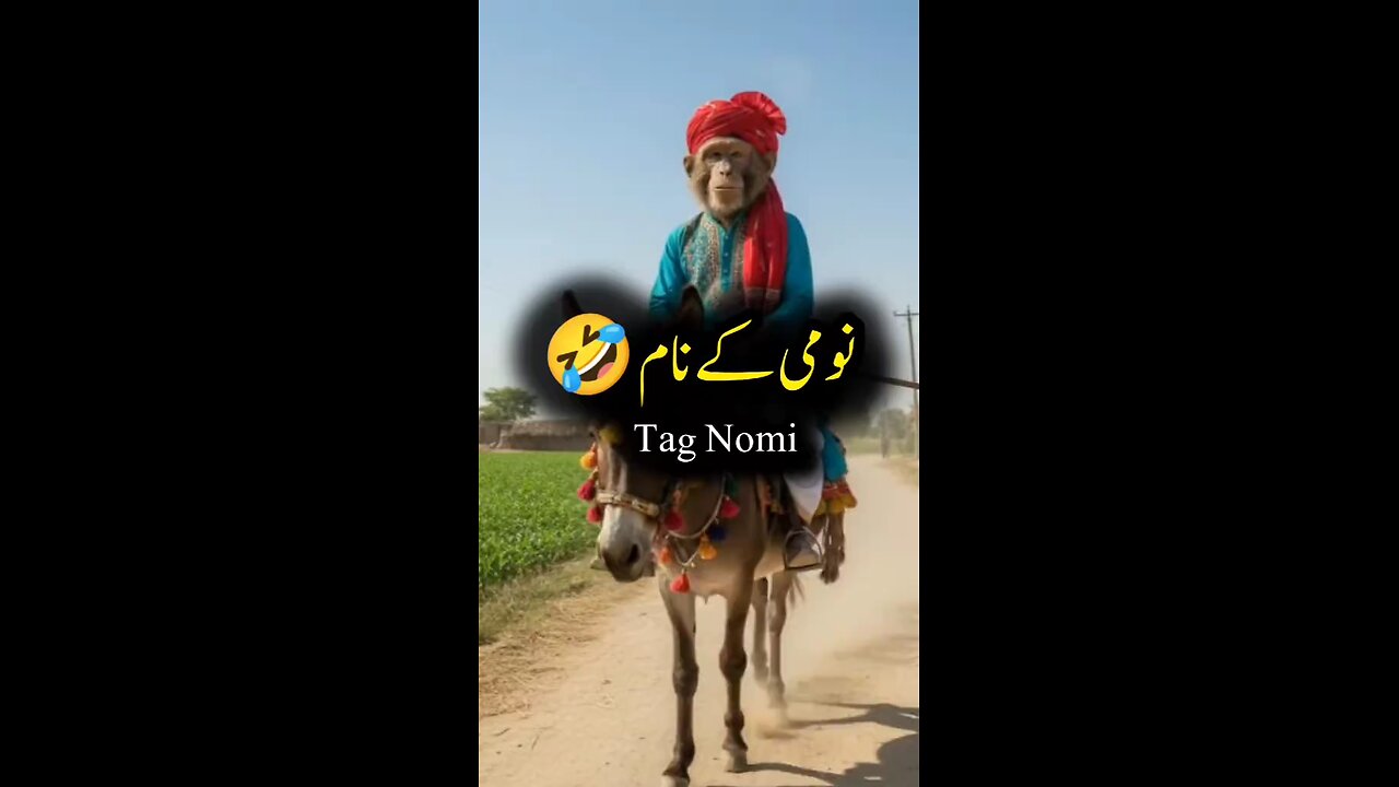 Monkey Have Some Fun