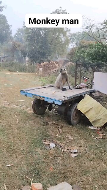 #comedy#funny#trending#video#viral