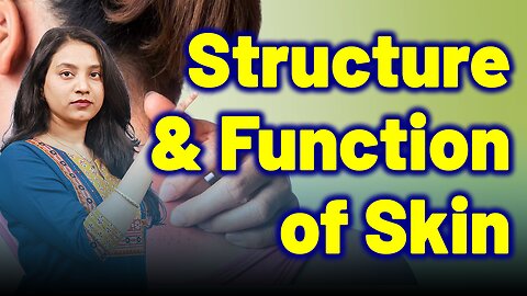 Structure and Function of Skin in Urticarial Part . | Treatment Cure Relief Medicine | Skin Allergy