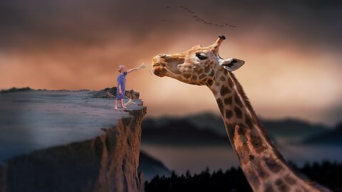 Grace of the Tall Giants 🦒 | Beautiful Giraffes in the Wild 🌿 | Wildlife Video