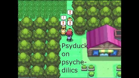 Specializing in Grass type Pokémon, Platinum Paythrough 1.25