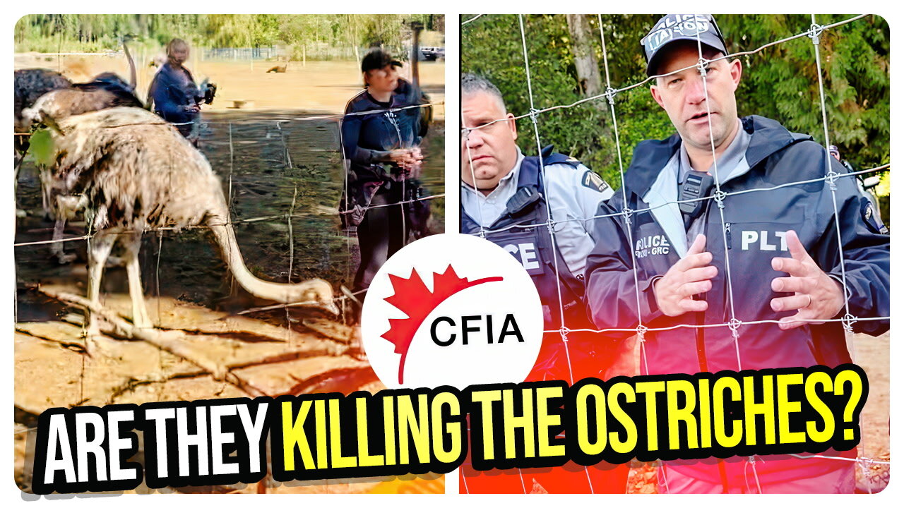 Are they Killing the Ostriches? Roger Ver Strikes a Deal! Tommy Robinson, Tom Homan & MORE!